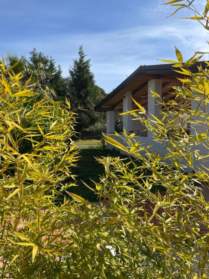 Etna Petit Relais Panzió Nicolosi Kültér fotó
